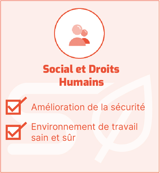 Ecovadis-Droits-sociaux